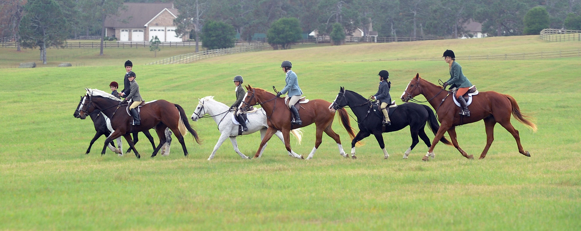 Kids & horses 03.jpg